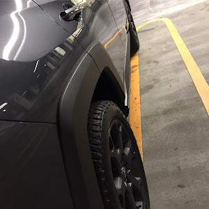 RAV4 MXAA54