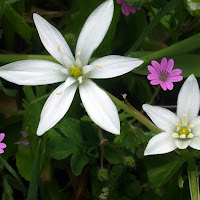 Piccoli tocchi di colore di 