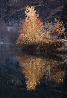 Specchio d'autunno di Tiziana Detoni