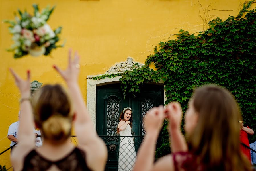 Svatební fotograf Pedro Vilela (vilela). Fotografie z 26.července 2018