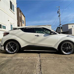 C-HR ZYX10