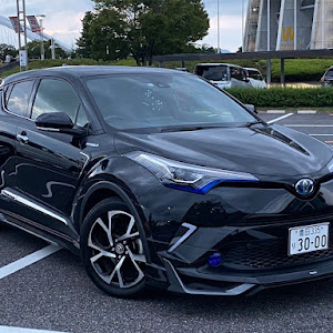 C-HR ZYX11