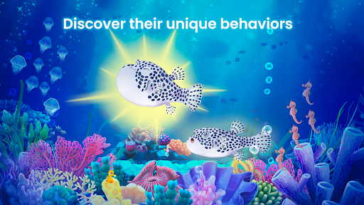 Screenshot Splash: Fish Sanctuary