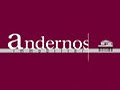 ANDERNOS IMMOBILIER