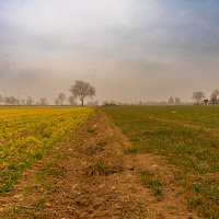 Terra di colori di 