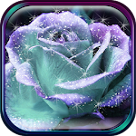 Cover Image of Download 3D Rose Live Wallpaper 1.7 APK