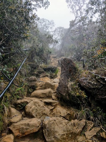 Climbing Mount Kinabalu