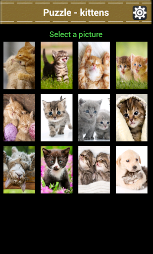 Puzzle – kittens