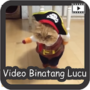 Video Binatang Lucu  Icon