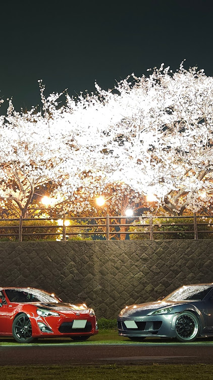 RX-8の4月もよろしくお願い致します🌸・桜シーズン開幕・サクラと愛車・夜桜コラボ・黄砂まみれに関するカスタム事例の投稿画像2枚目