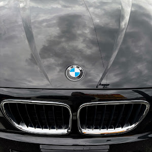 X1 xDrive 20i