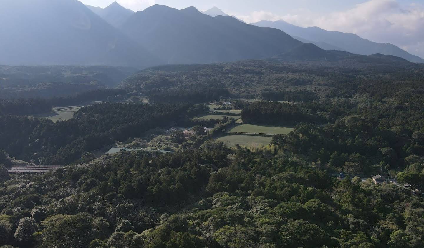 Maison Yakushima