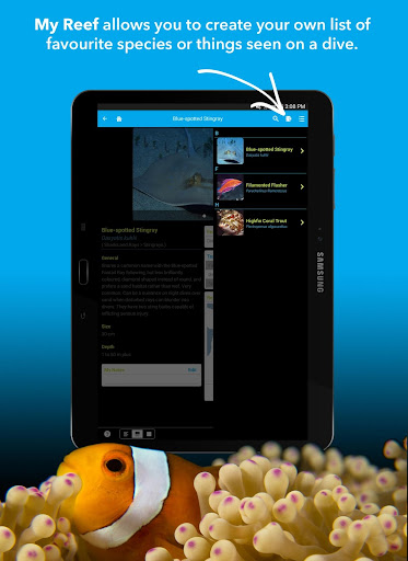 免費下載書籍APP|Coral Sea Fish Guide app開箱文|APP開箱王
