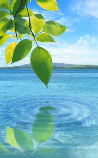 Updated Water Drop Flowers And Leaves Android App Download 22