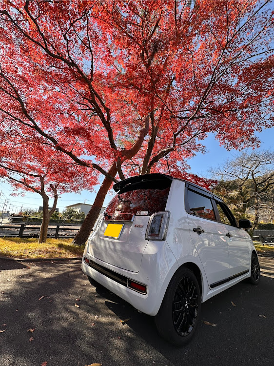 N-ONEの12月もよろしくお願いします・紅葉と愛車・紅葉ドライブに関するカスタム事例の投稿画像1枚目