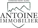 Antoine Immobilier