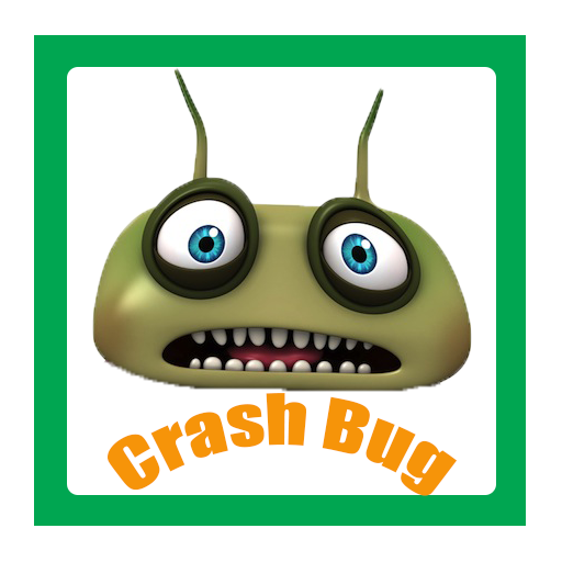 Crash bug