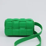 Parrot Green