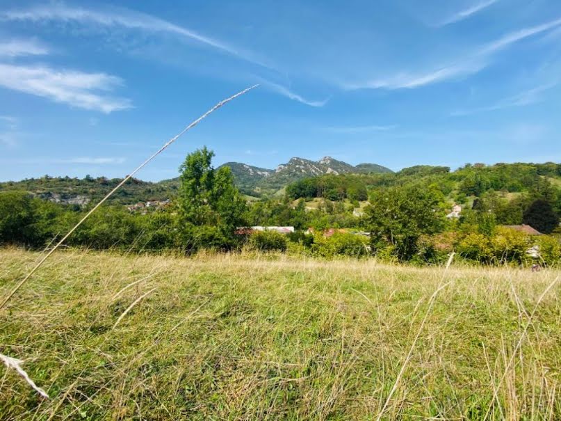 Vente terrain  4480 m² à Salins-les-Bains (39110), 13 000 €