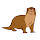 Otter HD Wallpapers New Tab Themes