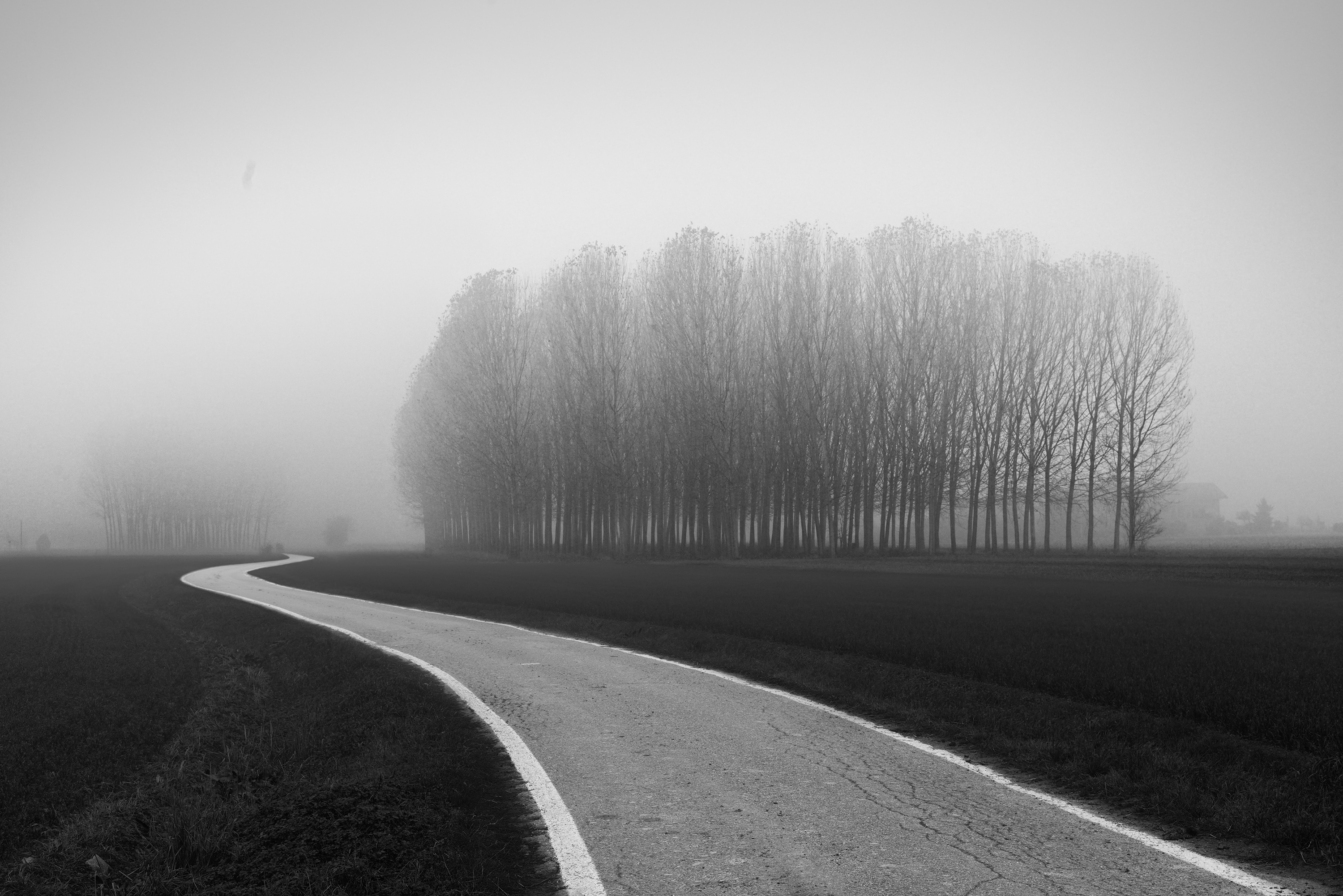 la strada nella nebbia di Francescogiacomo