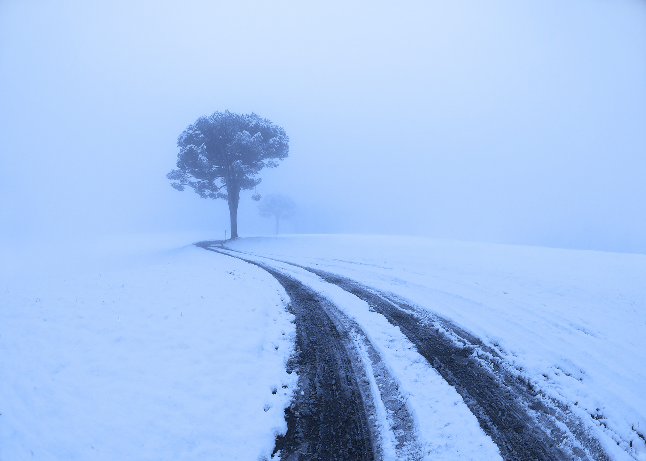 Viale d'inverno di Soldato