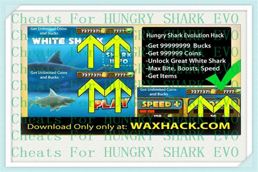 Evolutio Guide Of Hungry Shark