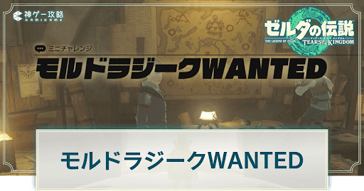 モルドラジークWANTED