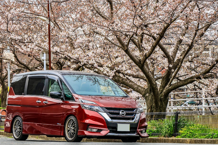 セレナのサクラと愛車・車高は高いけど知能は低いに関するカスタム事例の投稿画像1枚目