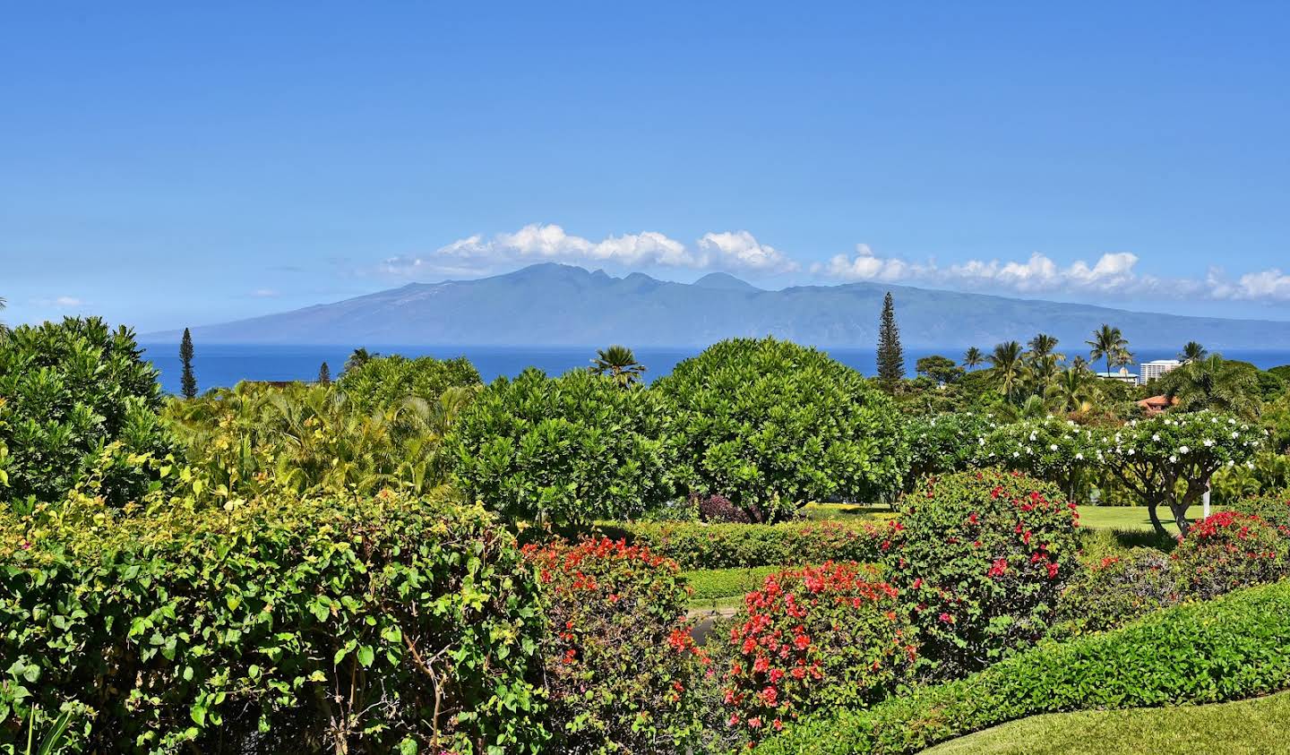 Appartement avec piscine Kaanapali