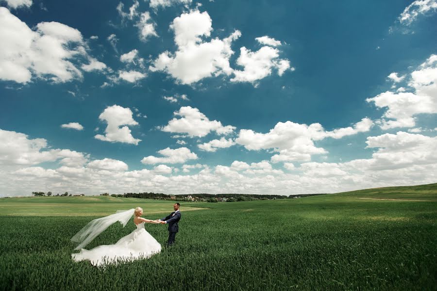 Photographe de mariage Viktoriya Petrenko (vi4i). Photo du 23 juin 2016