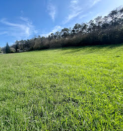 terrain à Château-l'Evêque (24)