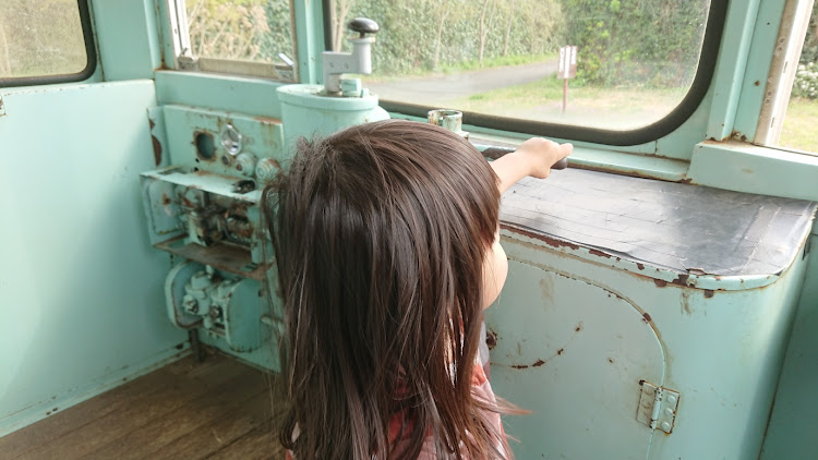 オッティの日産・休日・佐野植物公園・桜に関するカスタム事例の投稿画像6枚目