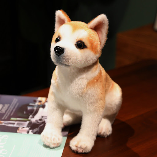 Akita Sitting Position