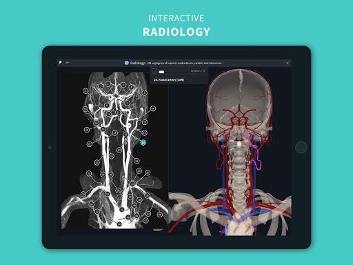 Anatomy 3d atlas crack pc