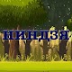 Download Ниндзя For PC Windows and Mac 1.0