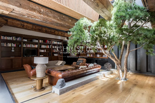 Loft with terrace 5