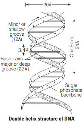 Solution Image