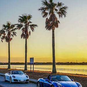 911 クーペ 991