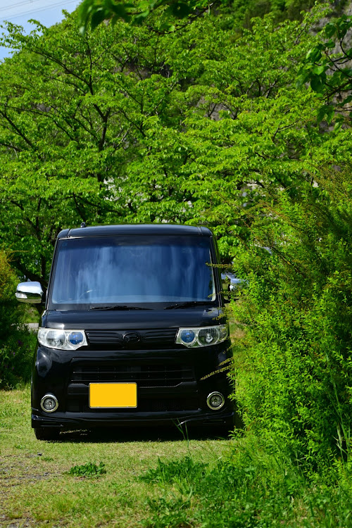 タントカスタムの緑の中で・初夏の風景・緑一色の世界・日本の四季は美しい・梅雨入り間近？に関するカスタム事例の投稿画像2枚目