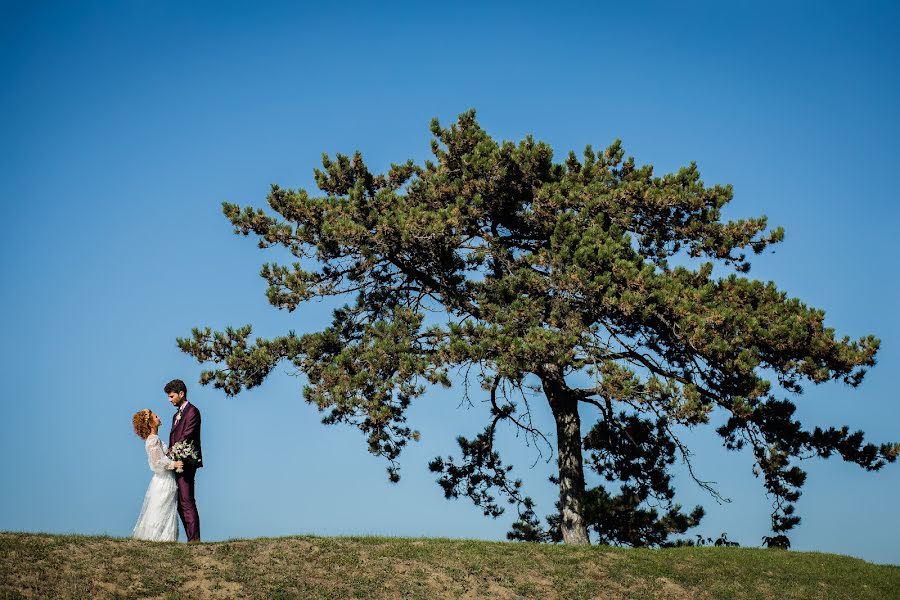 Huwelijksfotograaf Dan Alexa (danalexa). Foto van 12 oktober 2021