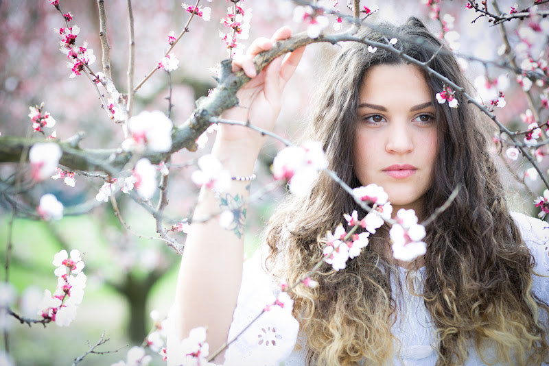 Into the spring di Marcello Zavalloni