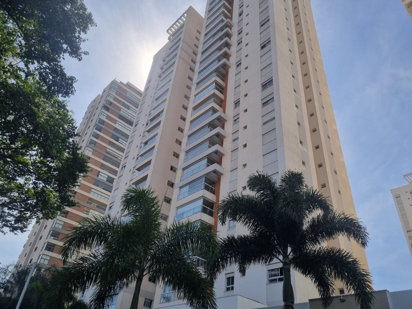 Apartamentos para alugar Cambuí