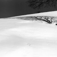 L'Ombra Sulla Neve di 