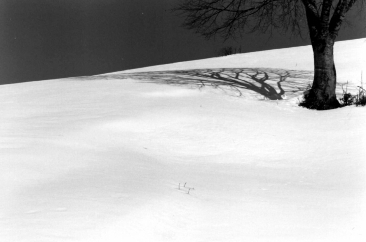 L'Ombra Sulla Neve di illyonair