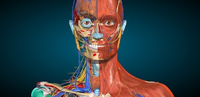 Anatomy Learning - 3D Anatomy Screenshot