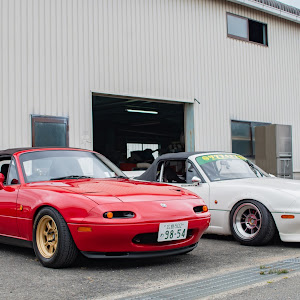 ロードスター NA8C