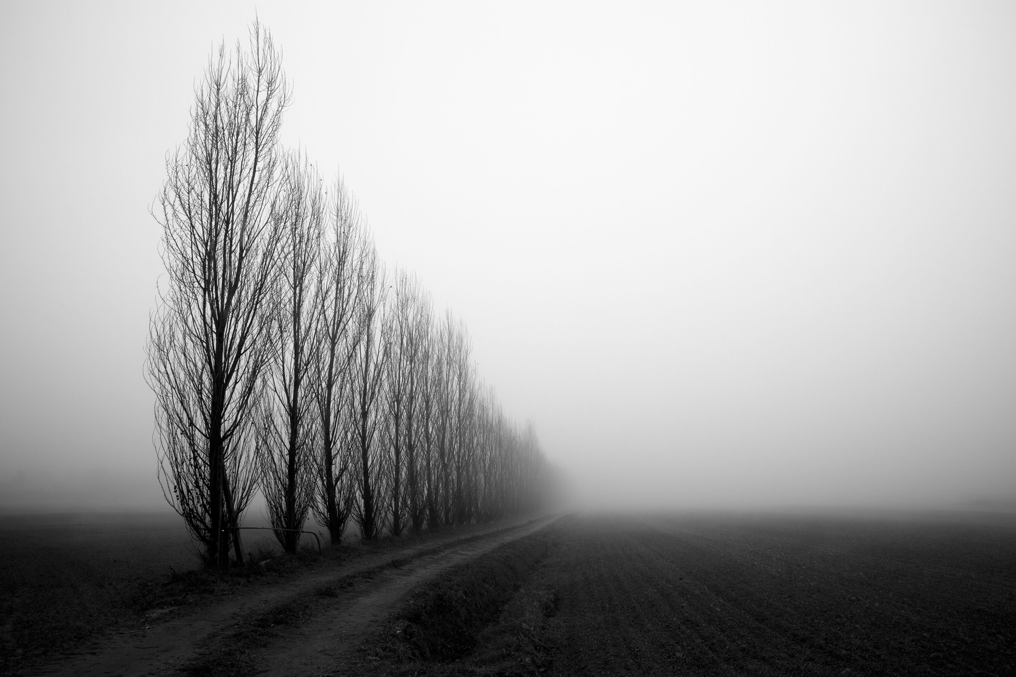 Verso il vuoto, nella nebbia a perdita d'occhio di Tindara