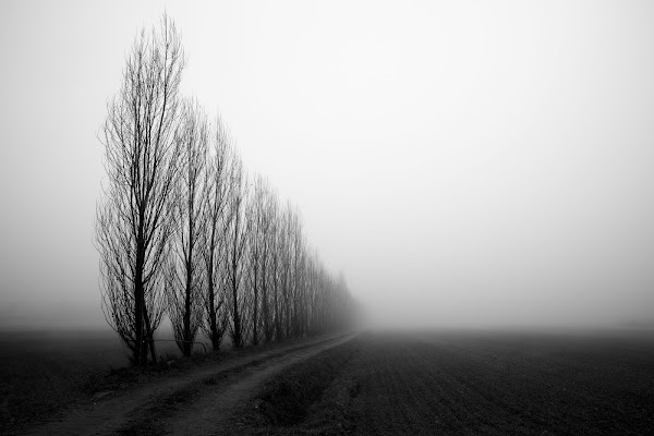 Verso il vuoto, nella nebbia a perdita d'occhio di Tindara