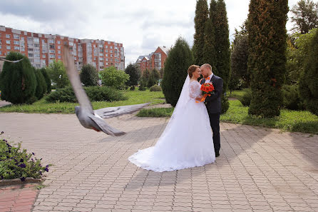 Photographe de mariage Elena Gurova (elenagurova). Photo du 9 décembre 2017